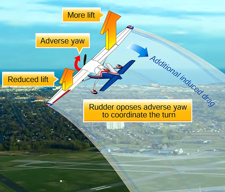 The rudder opposes adverse yaw to help coordinate the turn