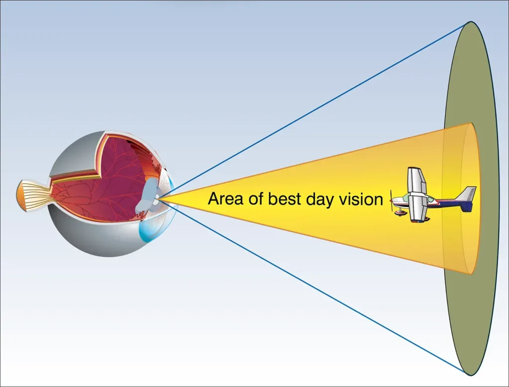 Area of best day vision