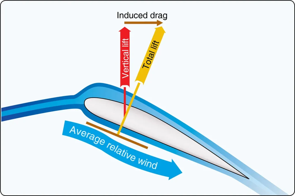 Induced drag around the rotor blade