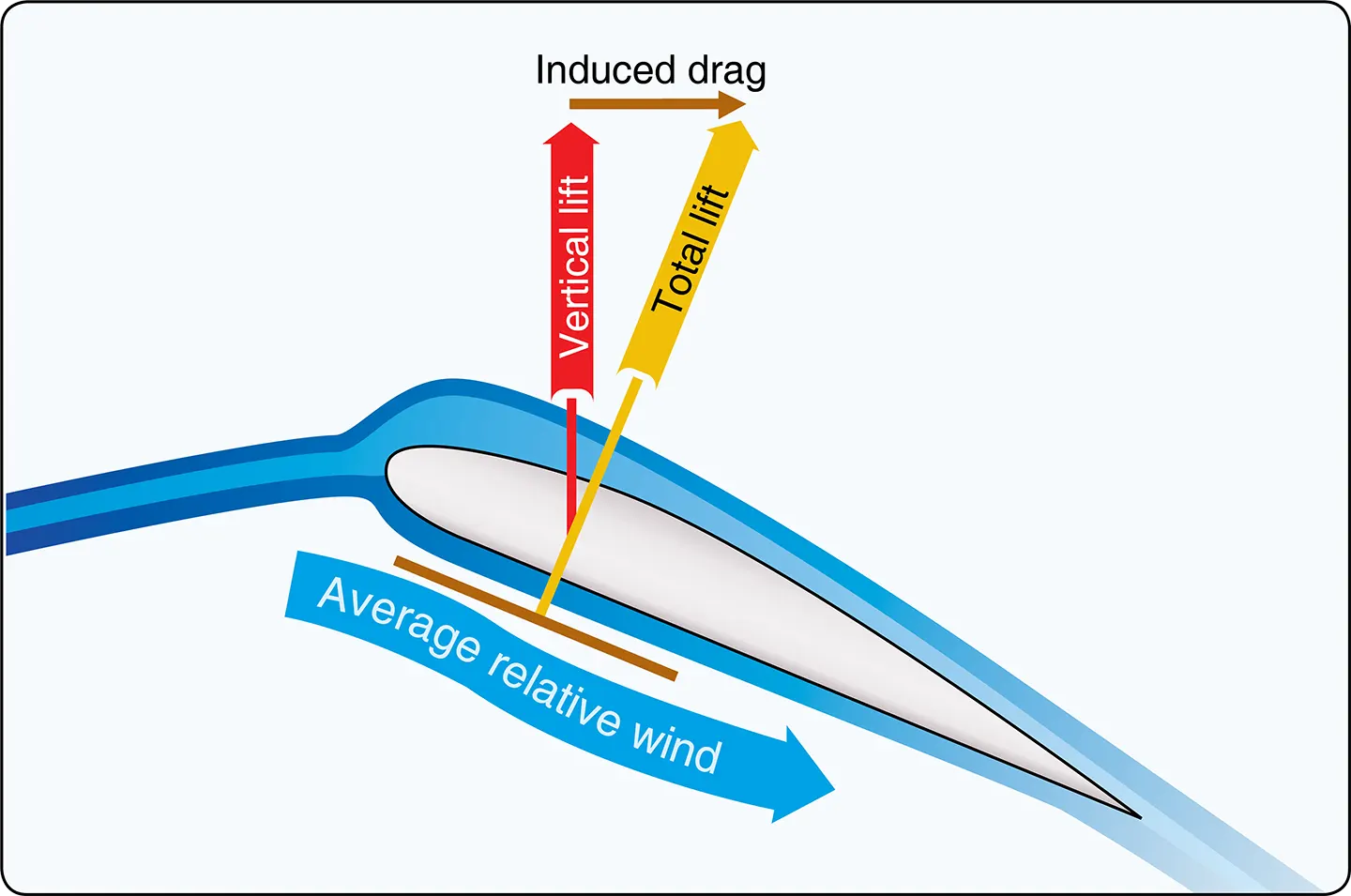 Induced drag aroundthe rotor blade