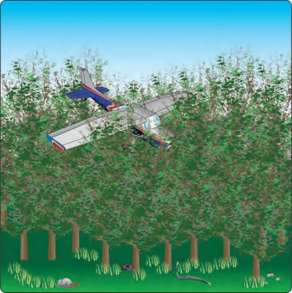 Airplane emergency tree landing