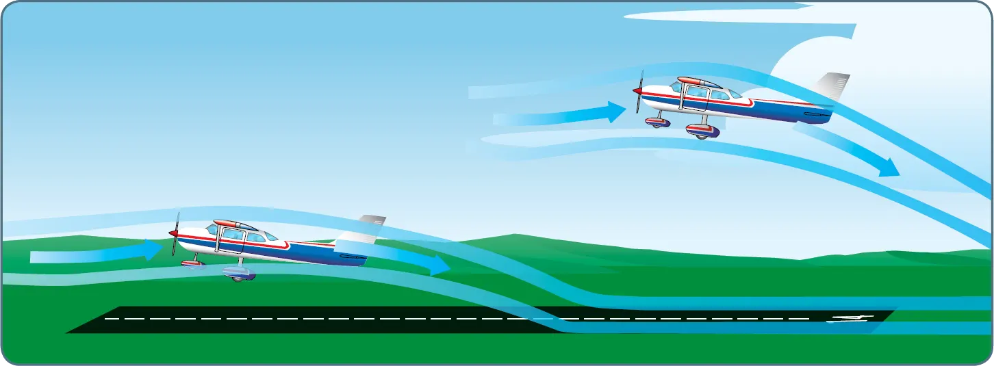 Aerodynamics of flight