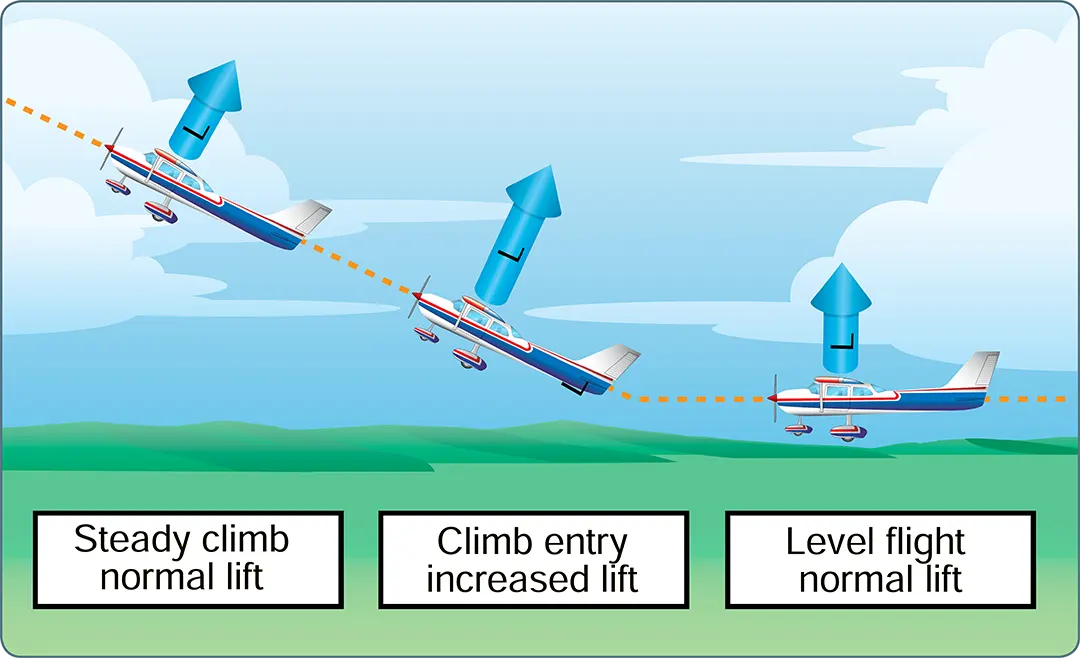 Aerodynamic forces in flight maneuvers