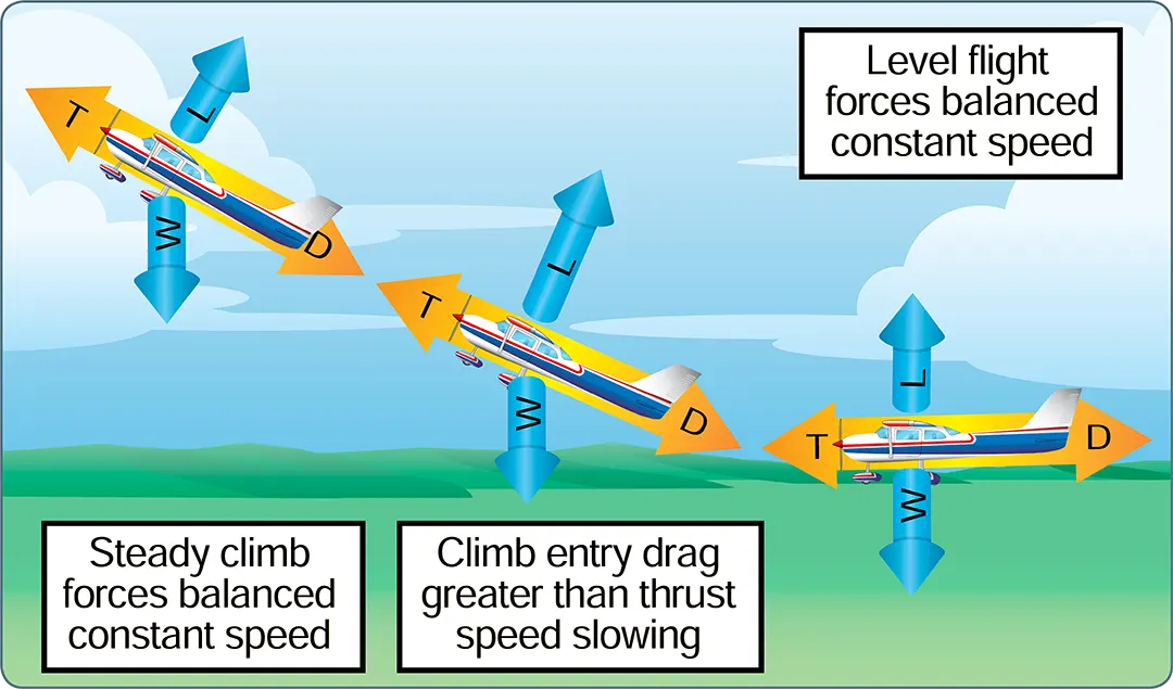 Aerodynamic forces in flight maneuvers