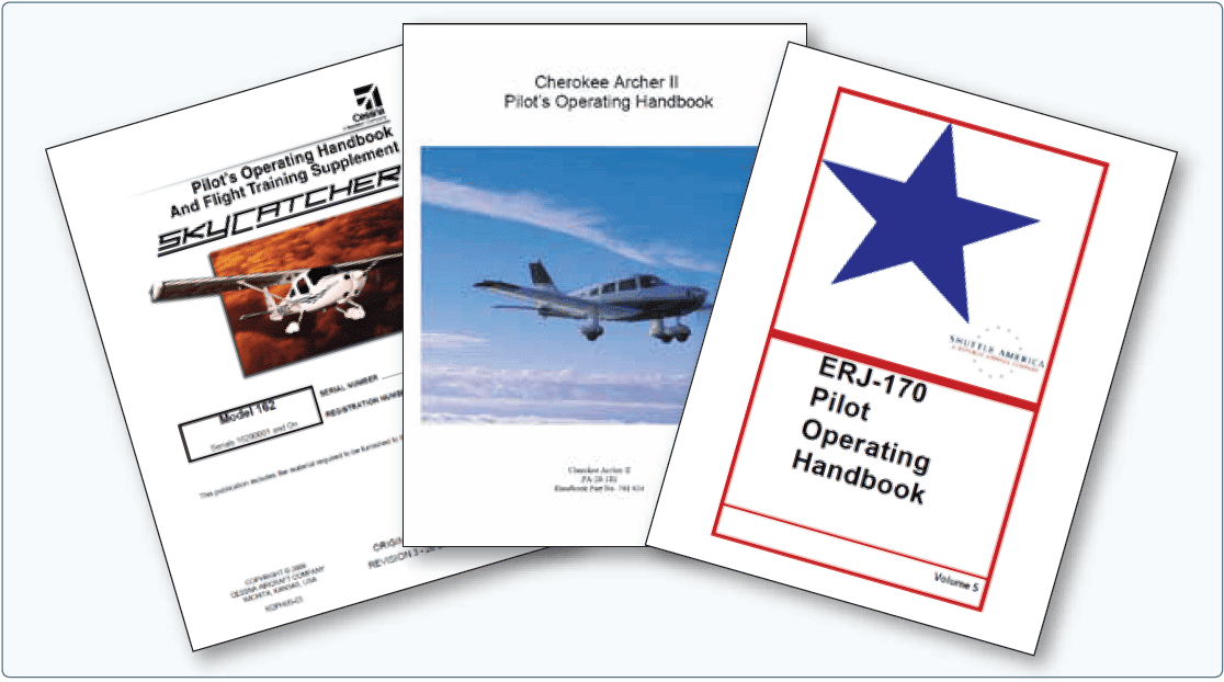 The Role of the FAA