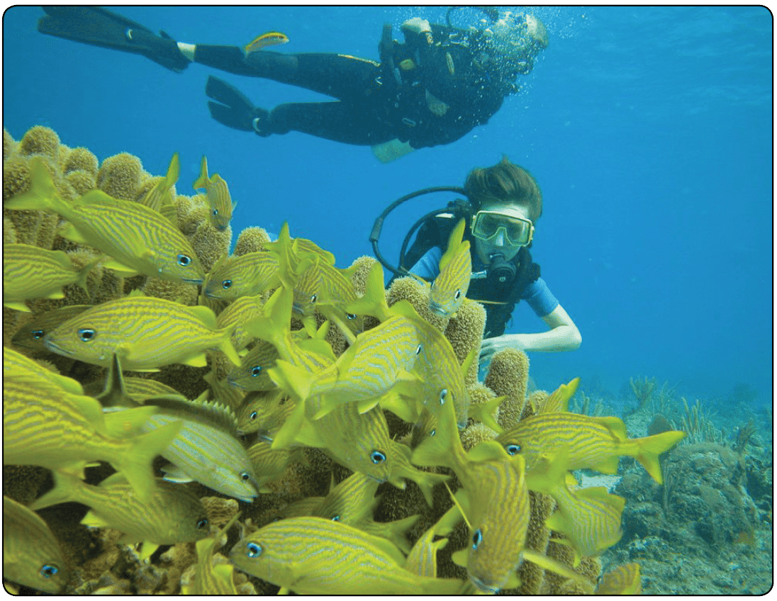 To avoid the bends, scuba divers must not fly for specific time periods following dives Health and Physiological Factors Affecting Pilot Performance