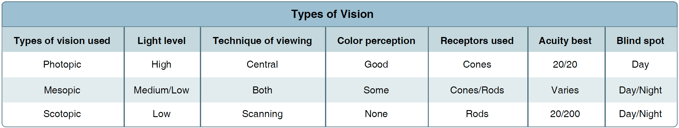 Vision in Flight