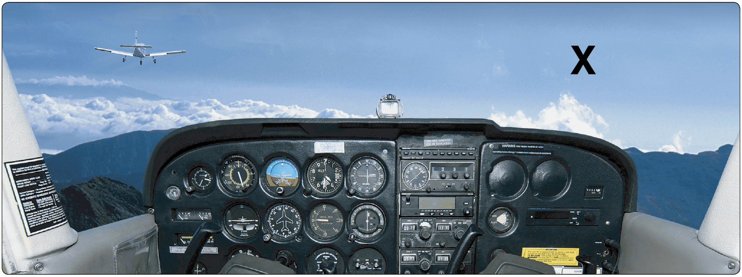Vision in Flight