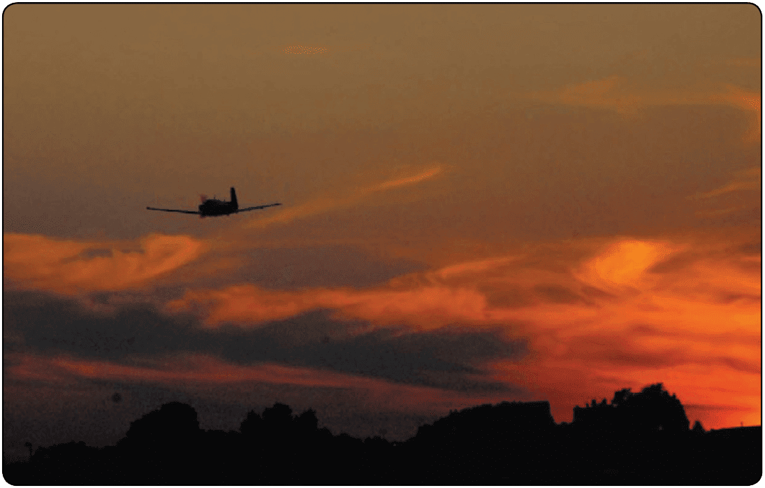 Vision in Flight