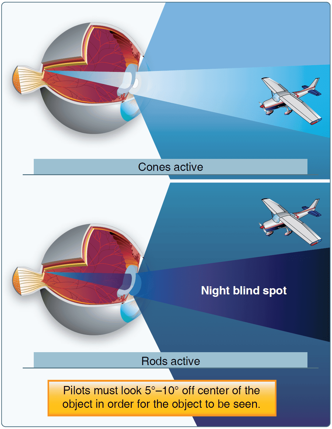 Vision in Flight