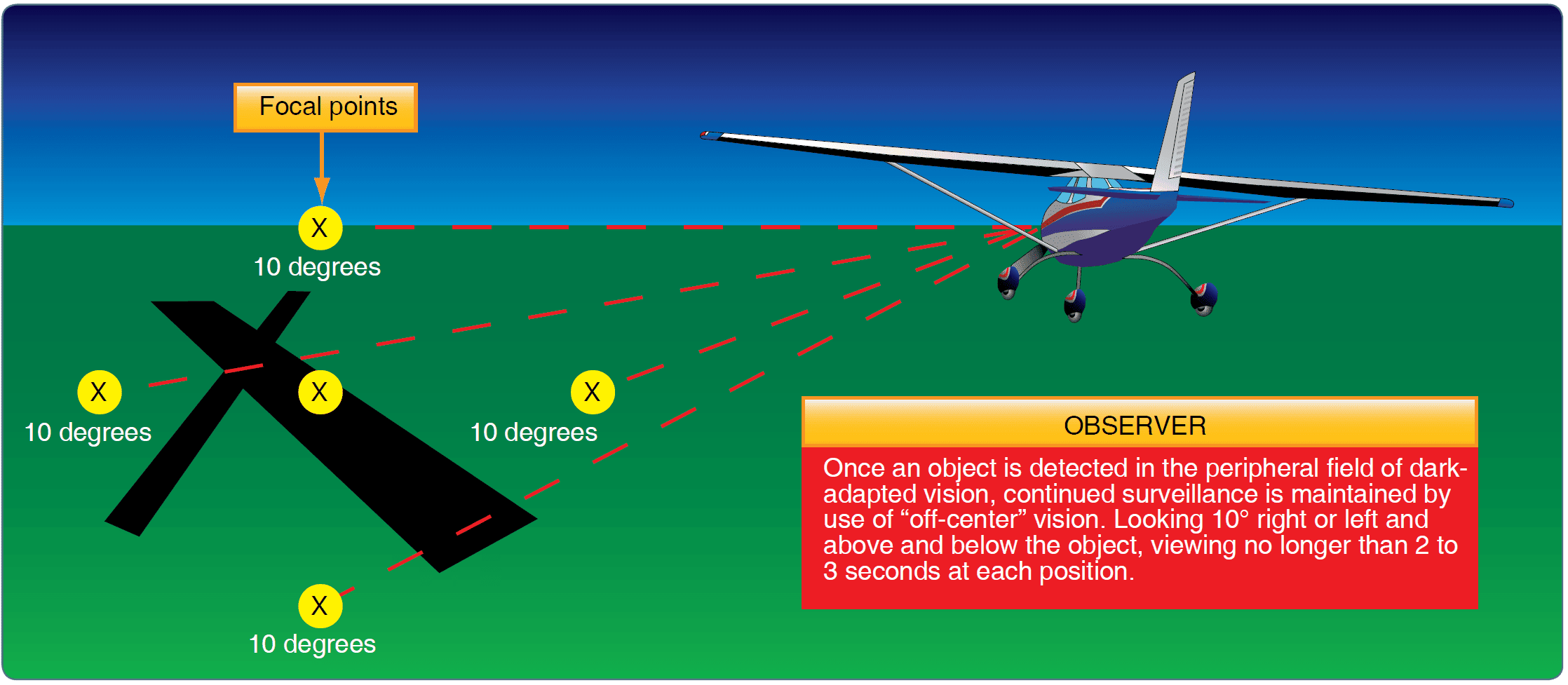 Vision in Flight