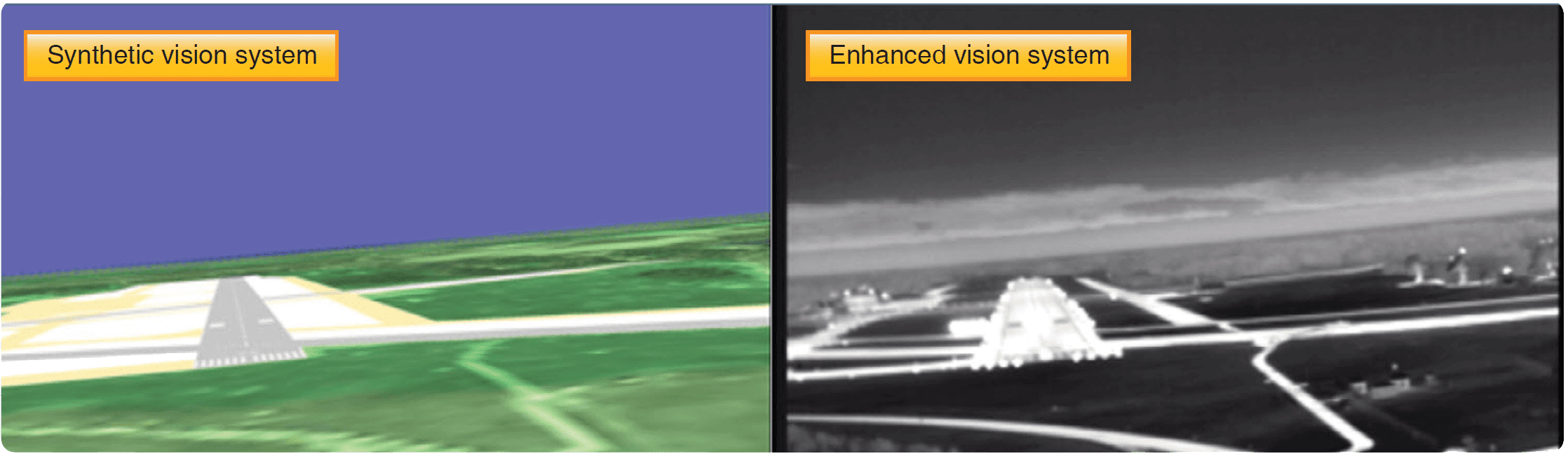 Vision in Flight