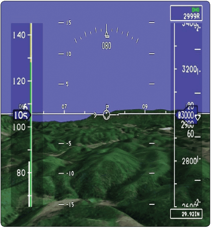 Vision in Flight