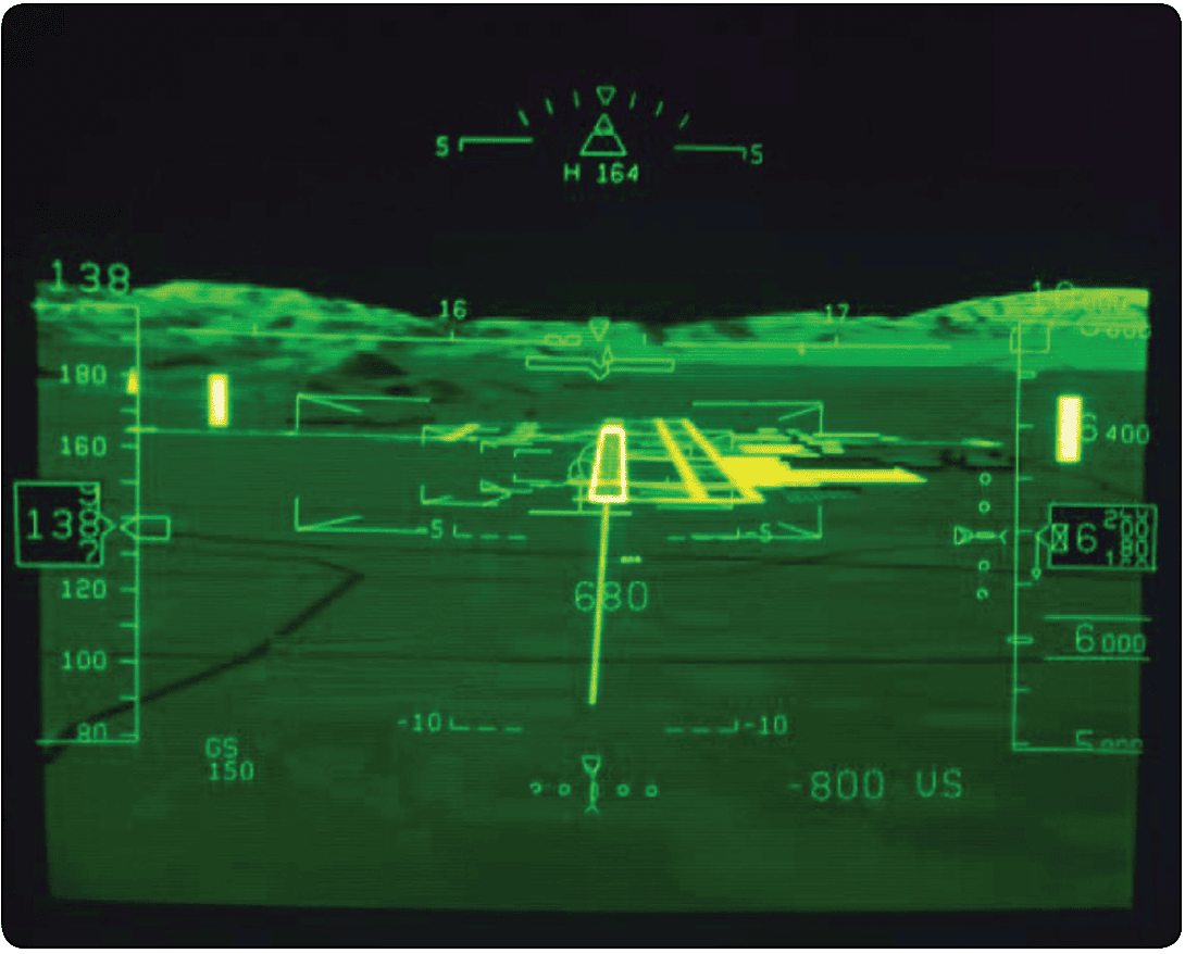 Vision in Flight
