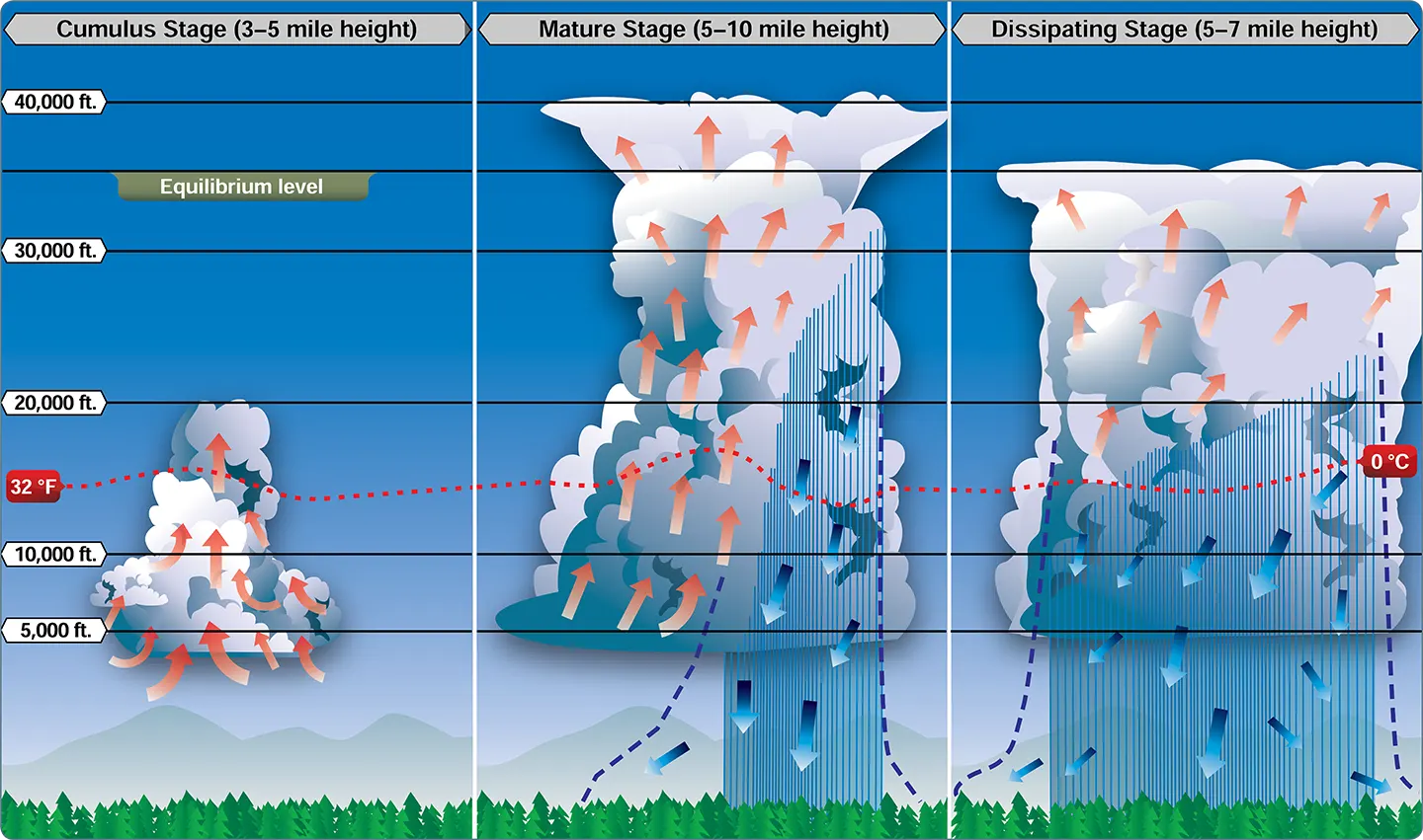 Life cycle of a thunderstorm