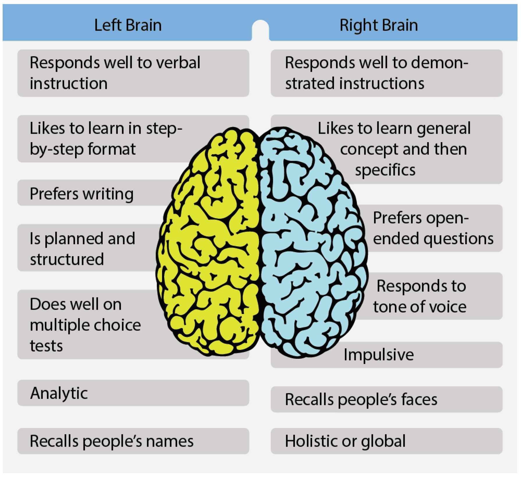 Learning Styles, aviation instructor