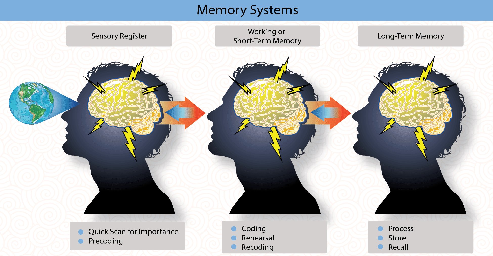 Information processing within the sensory register, working on short-term memory, and long-term memory includes complex coding, sorting, storing, and recall functions Learning Process, Aviation Instructor