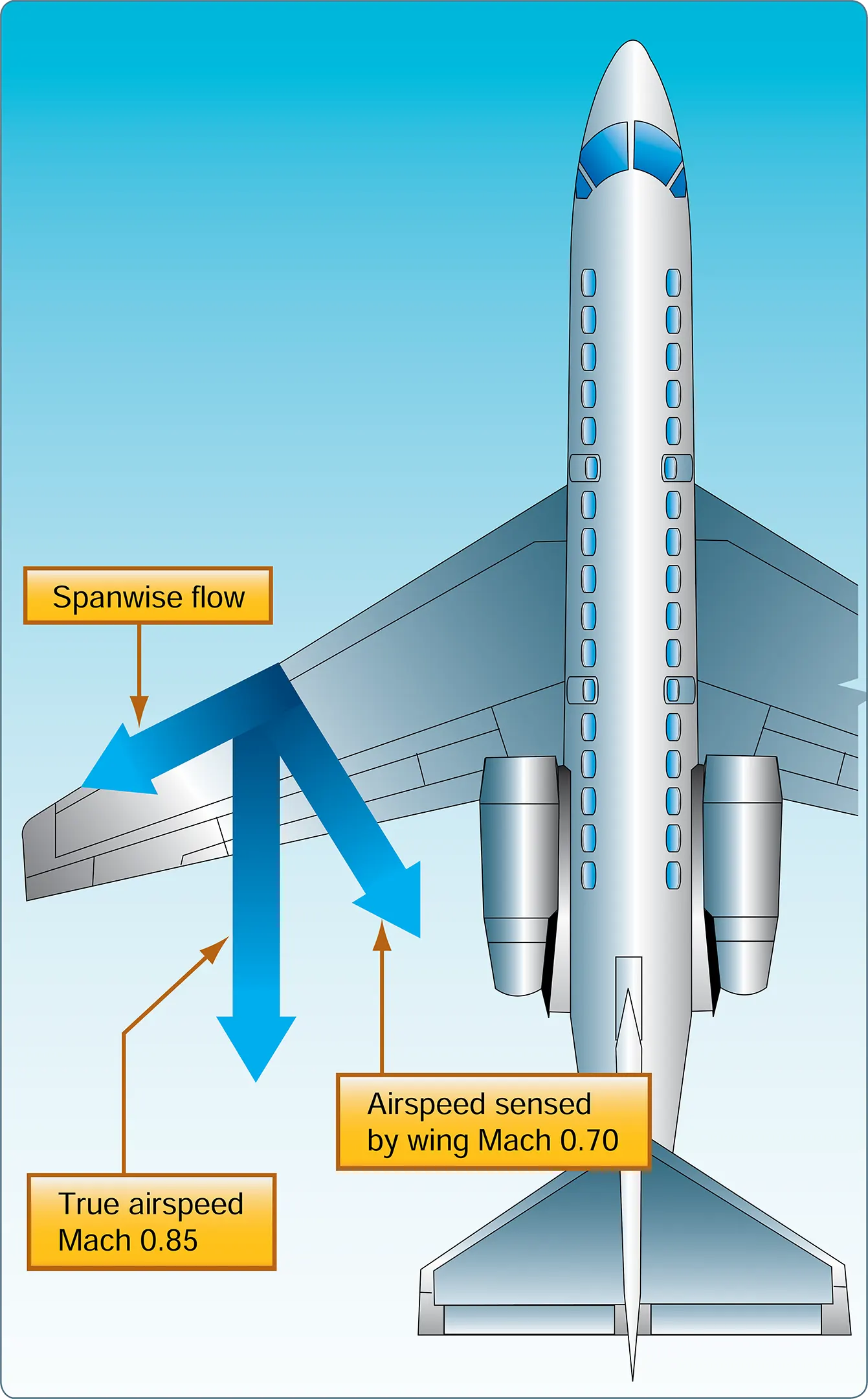 Sweepback effect and distribution and formation of shock waves