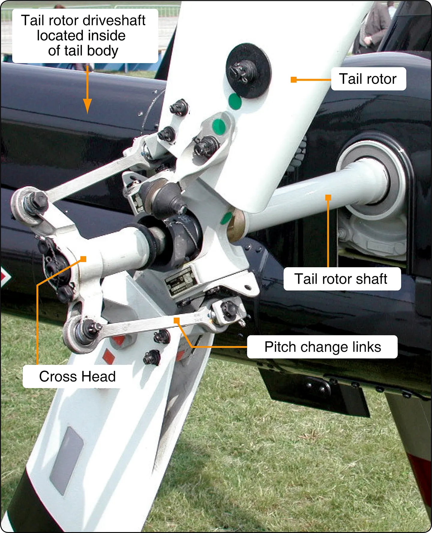 Basic tail rotor components